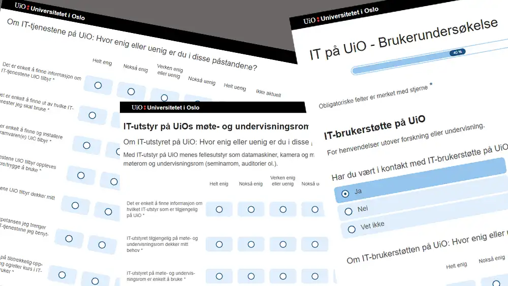 Bilde av sp?rreskjemaet som skal fylles ut for brukerunders?kelsen