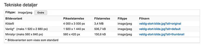 Skjermbilde av tekniske detaljer for et bilde i Vortex. Listing av st?rrelsesvariantene Kilde, Vanlig og Miniatyr.